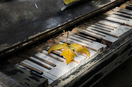 Autumn Marathon / ***