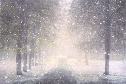 Sunny snow / ***