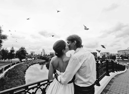 Liebe und Tauben .. / ***