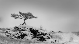 Black and white life / ***