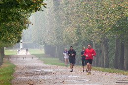 Autumn Marathon / ***