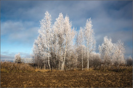 Rime / ***