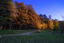 Evening in the forest park / ***