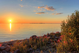 Sunset / ***