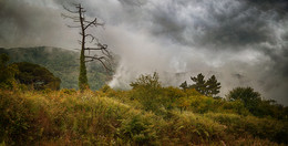 bad weather / ***