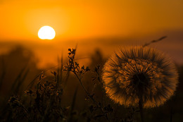 Seeing the sun light. / ***