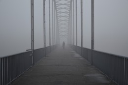 Foggy morning / ***