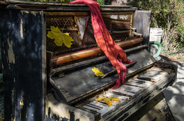 About the piano in the bushes ... / ***