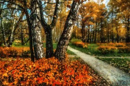 Allee. Herbst. / ***
