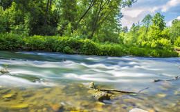 The flow of life / ***