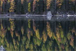 Reflection / ***