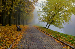 nebligen Herbst / ***