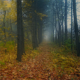 Misty Bahn / ***