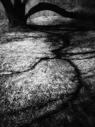 Length and breadth / ***