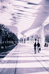 Length and breadth / ***