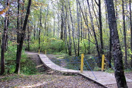 Kreuz und Quer / ***