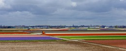 Length and breadth / ***