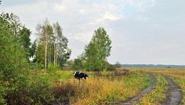 rural theme / ***