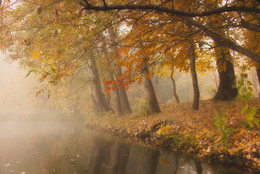Der Duft der Herbstfarben. / ***