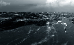 Wind wave catches up with ... / ***