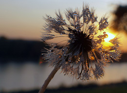 Wunderbarer Moment / ***