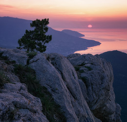 About Crimean Dawn / ***