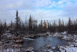 winter has come / ***