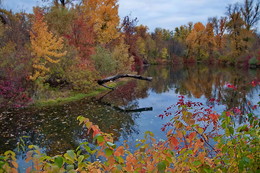 Last autumn chords / ***