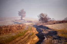Noyabrskye roads / ***