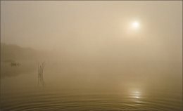 Misty minimalism / ***
