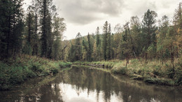 Taiga river / ...