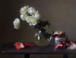 Petals / ***
