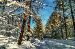 Ein Spaziergang durch den Park. / ***