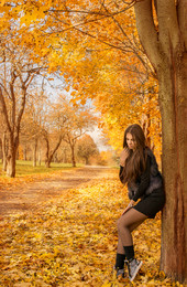 gold autumn / ***