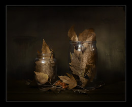 canning autumn / ***