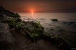 Early Morning / ***