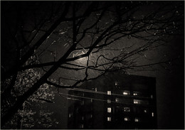 There is no bad weather / ***