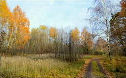 for the autumn road / ***
