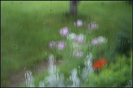 There is no bad weather / ***