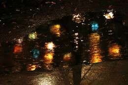 Christmas tree / ***