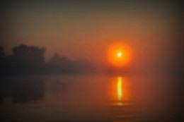 ... Morning fog ... / ***