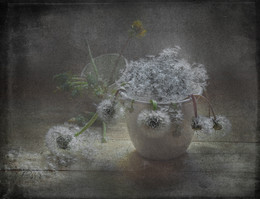 From the series "Finished the ball ..." / ...