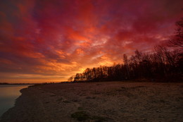 Red Beach / ***