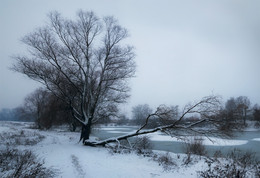 Der erste Schnee / ***