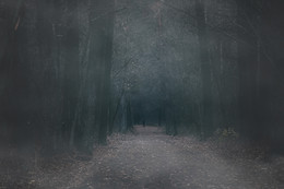 Fog / ***