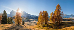 A clear morning in the Alps II / ***