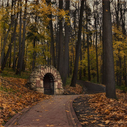 Herbst im Park / ***