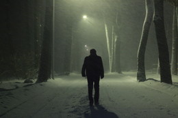 allein in der Dunkelheit / ***