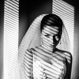 Bride's portrait / ***