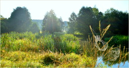 Erinnerungen an den Sommer / ***